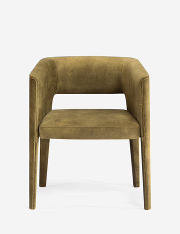 #color::olive-velvet