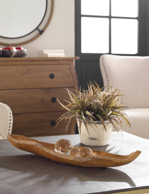 Yuma low-profile, decorative teak wood centerpiece bowl styled on a coffee table with a plant.