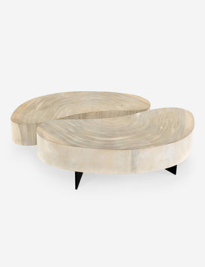 Finley Coffee Table Set