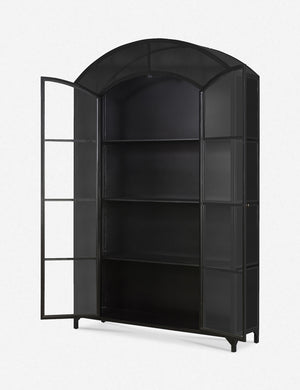 Cressida Wide Curio Cabinet