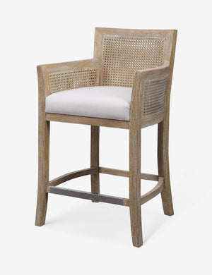 Quincey Counter Stool