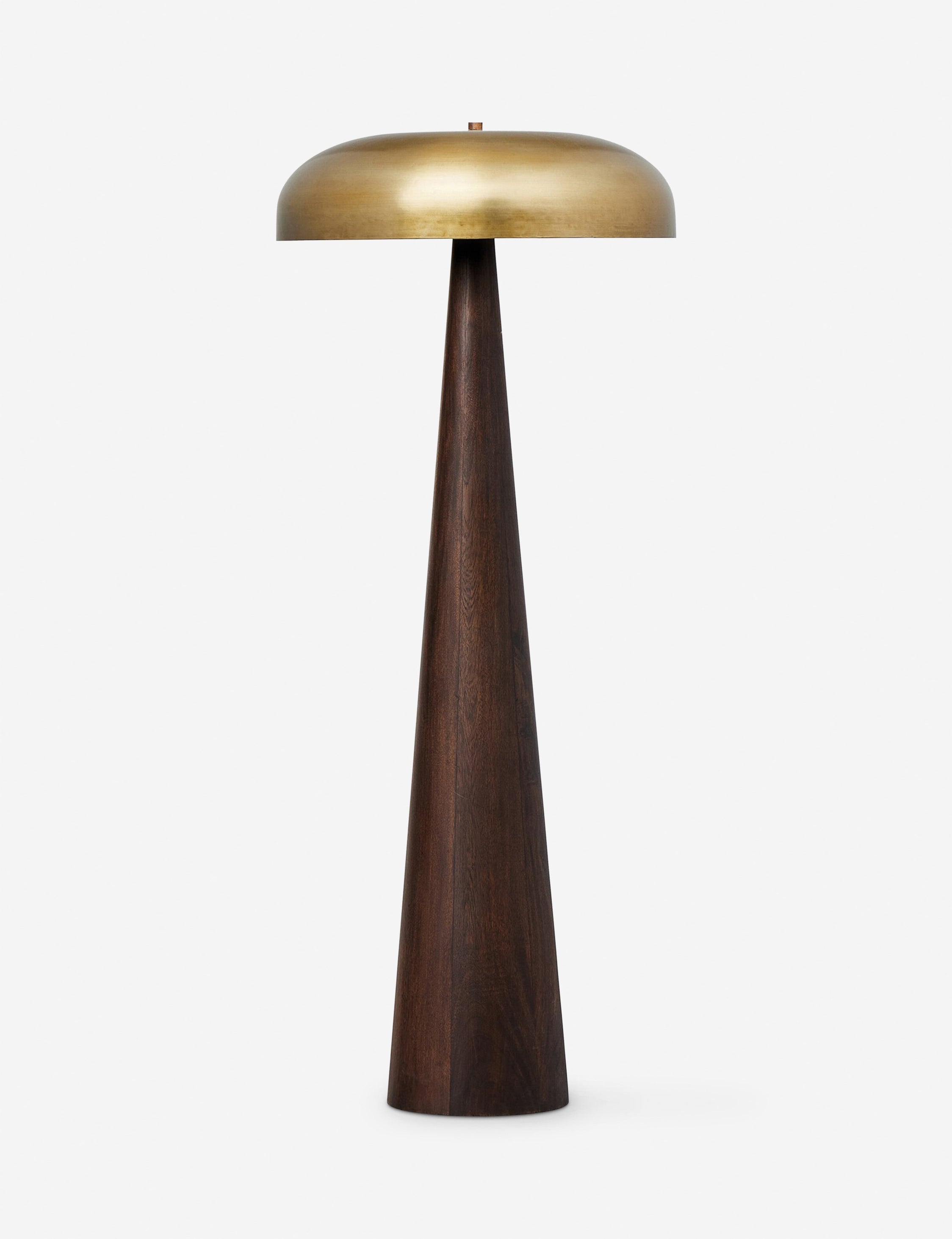 #color::dark-brown