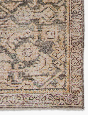 Open Box: Phedora Rug, 8'10