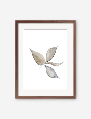 Faded Leaves Print in a walnut frame