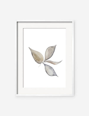 Faded Leaves Print in a white frame