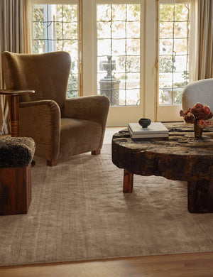 Open Box: Chiltern Rug, Sand Dune, 10' x 14' by Jake Arnold