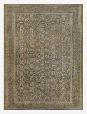 Open Box: Warren Rug, 10' x 14' by Erin Gates
