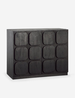 Angled view of the Robledo raised panel organic design sideboard cabinet in black.