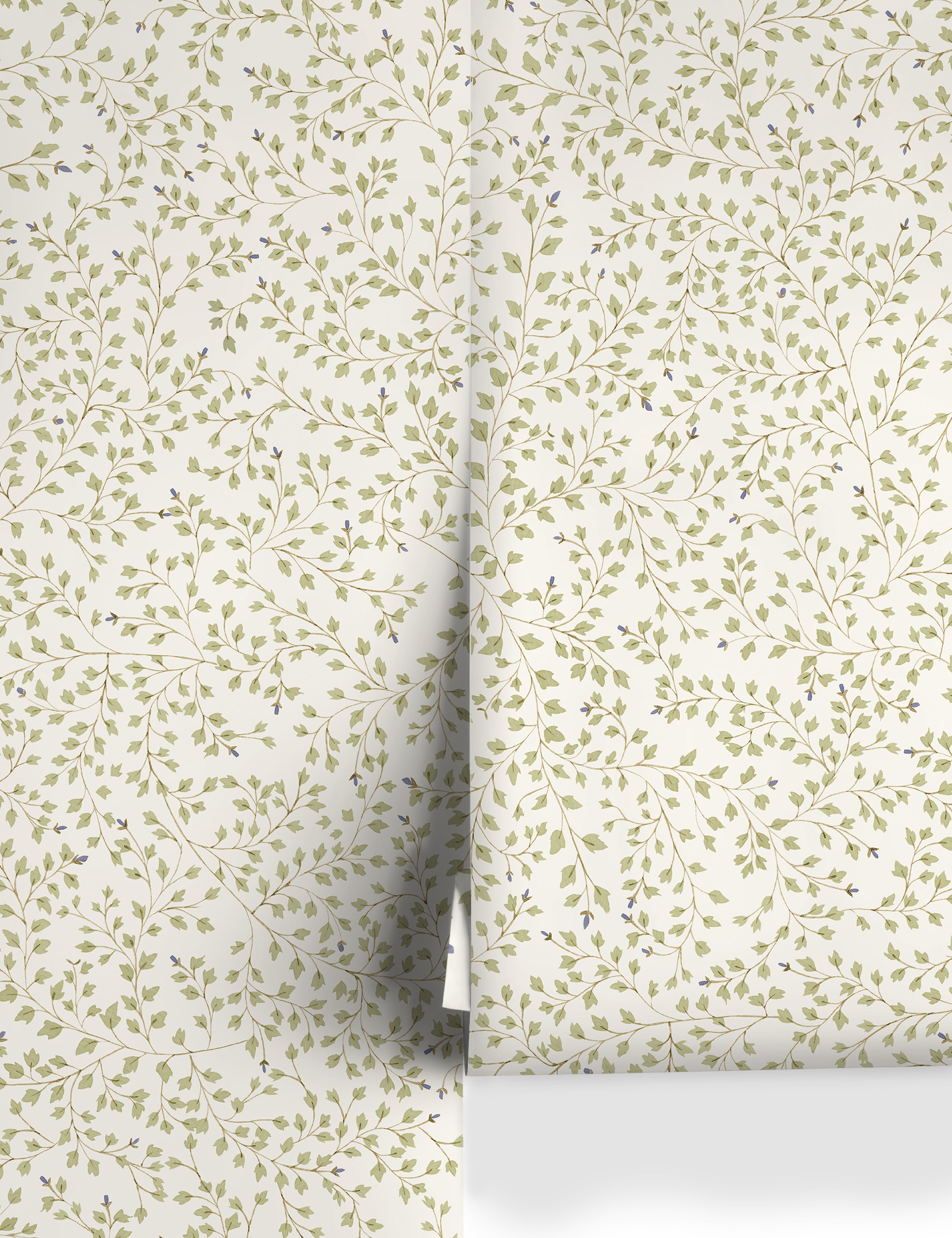 Dainty Leaves Wallpaper by Rylee + Cru, Sage - Swatch