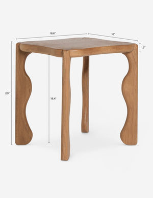 Grifo Side Table by Aimee Song : Dark Brown