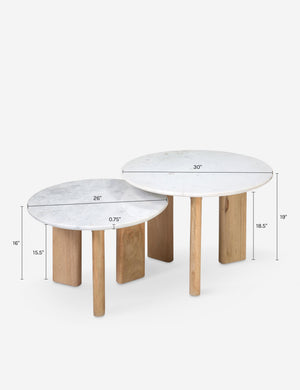 Josette Round Nesting Coffee Table (Set of 2) : White Marble