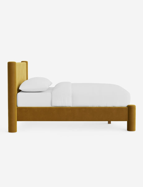 #color::goldenrod-plush-velvet #size::full