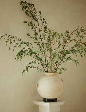 Forba Pot : Large