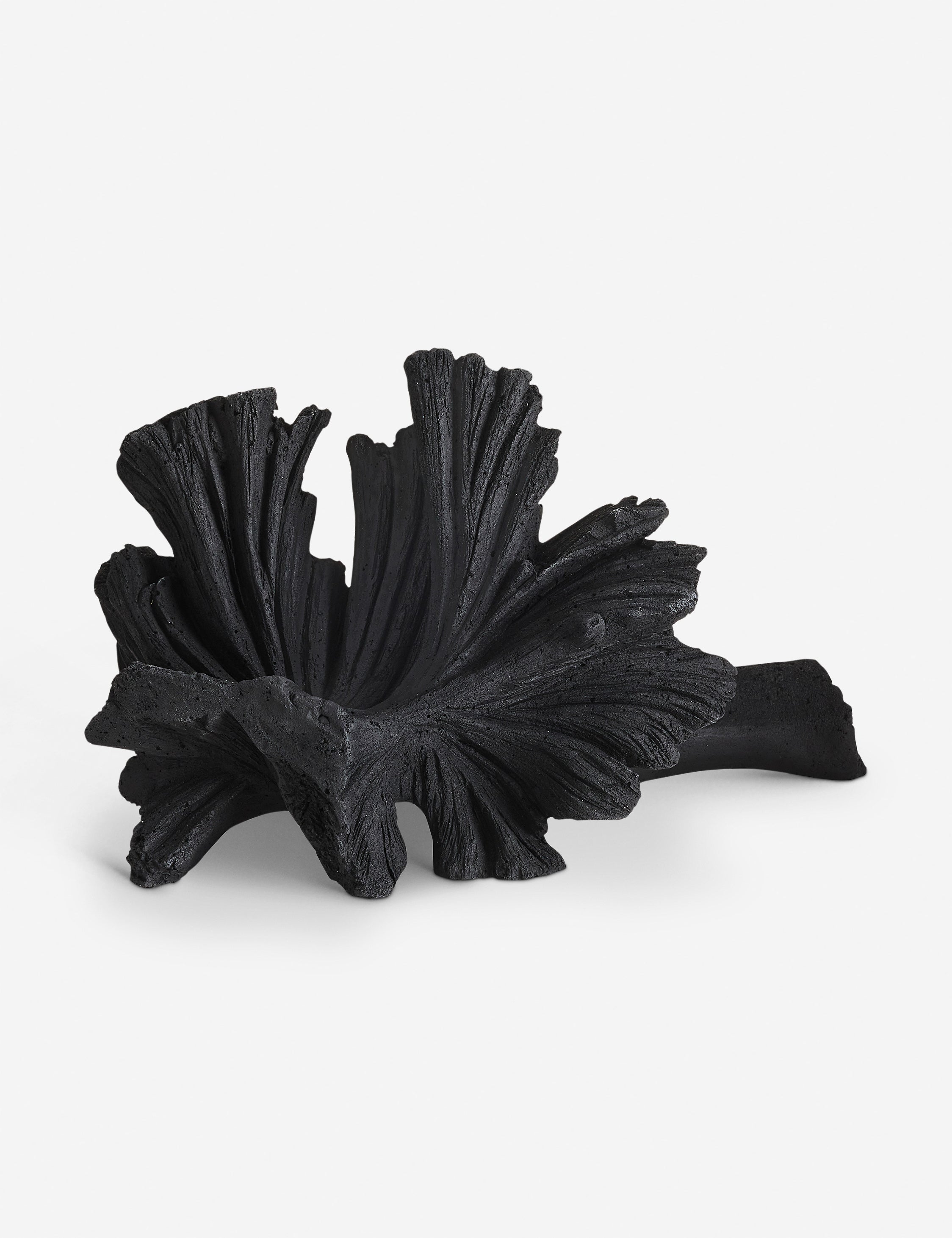 #color::black