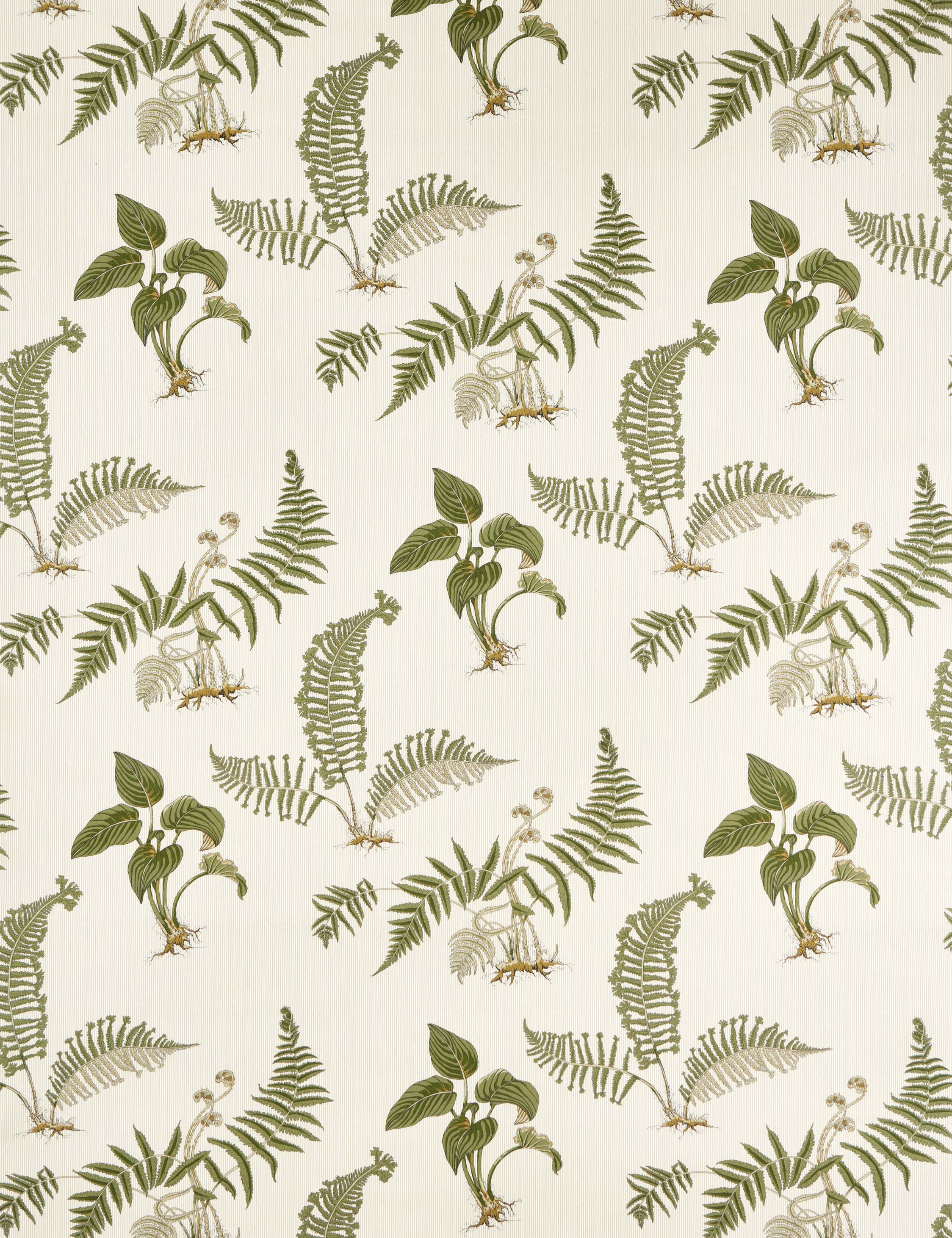 #color::olivine
