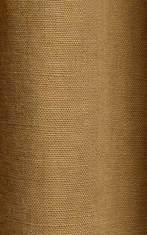 Nori Swatch, Ginger