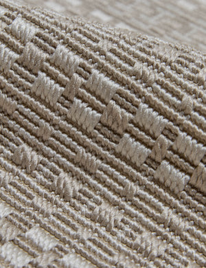 Custom Tannis Indoor / Outdoor Rug, Champagne