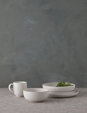 Pacifica salt white Dinnerware 5-Piece Place Setting by Casafina