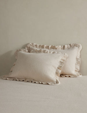 Vekki relaxed cotton pillow sham set