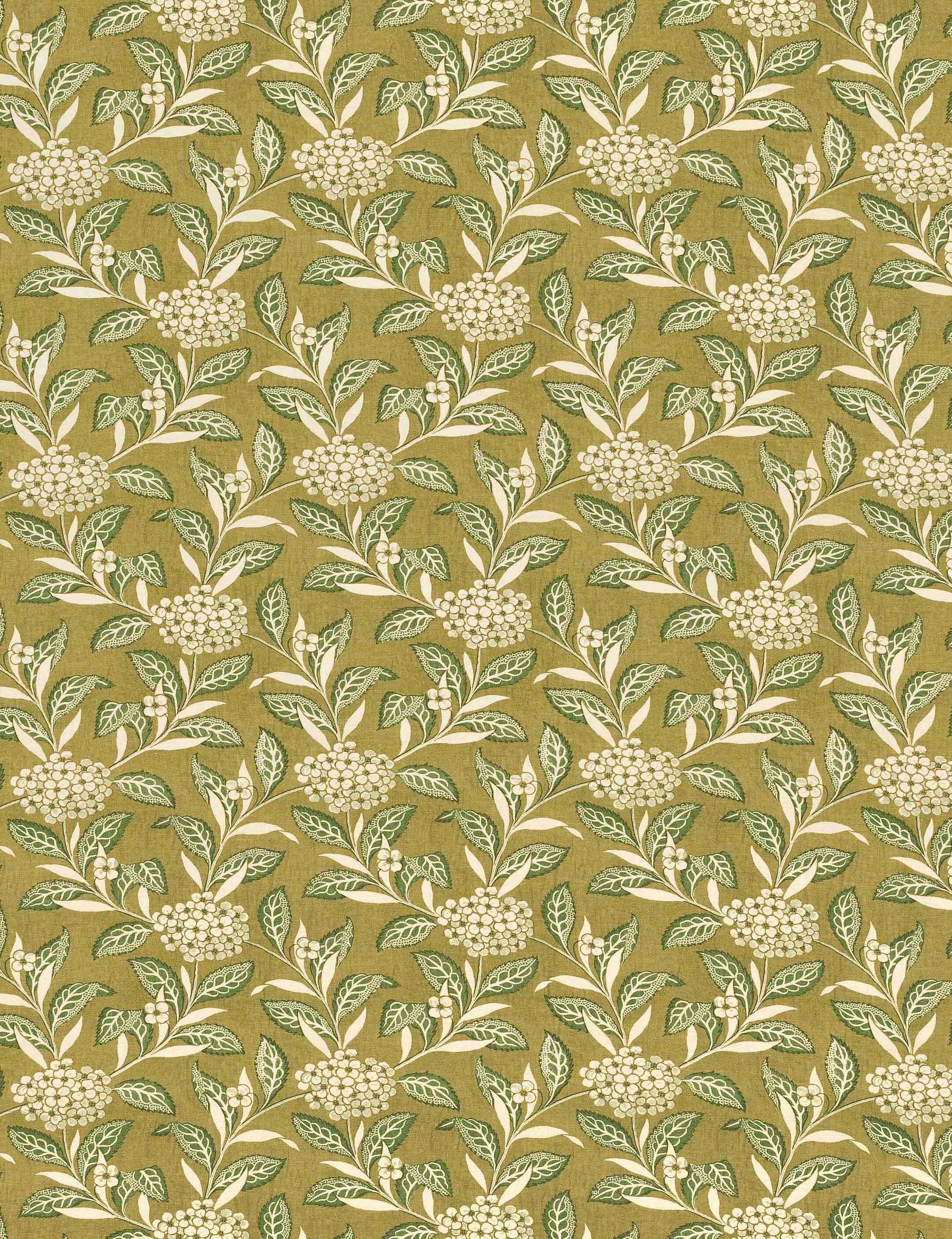  #color::sage-and-olive