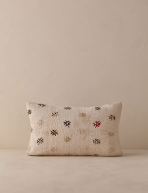 Vintage Lumbar Pillow No. 333, 12