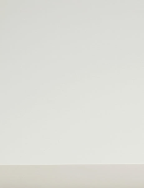#color::matte-white