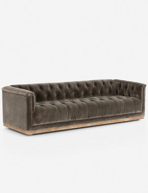 Angled left view of Afia tufted gray-brown velvet sofa with nailhead trim and light wood base