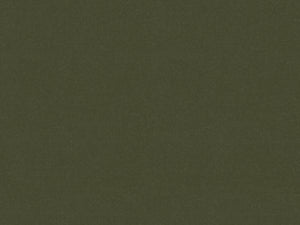 Moss Luxe Velvet Fabric Swatch