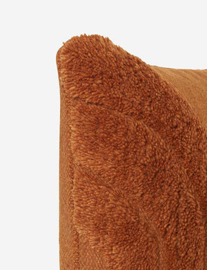 Corner of the arches rust square pillow